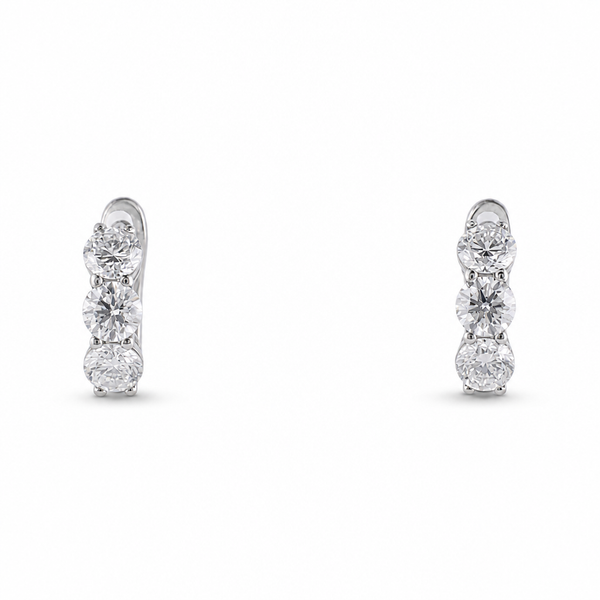 Titanium and Lab Diamond Half Carat Lab Diamond Hoops