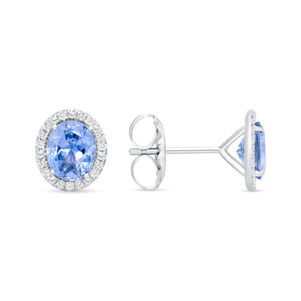 Sapphire Ceylon 3 carats with .2 carats Diamond Halo Studs 14k White Gold