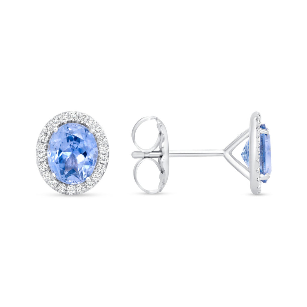 Sapphire Ceylon 3 carats with .2 carats Diamond Halo Studs 14k White Gold